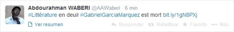 A Waberi