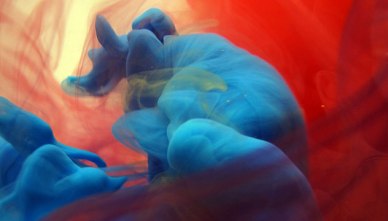 the_libyan-mohammed_albadri