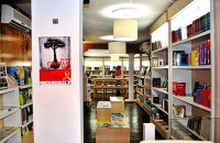 high_1356117514_550_0