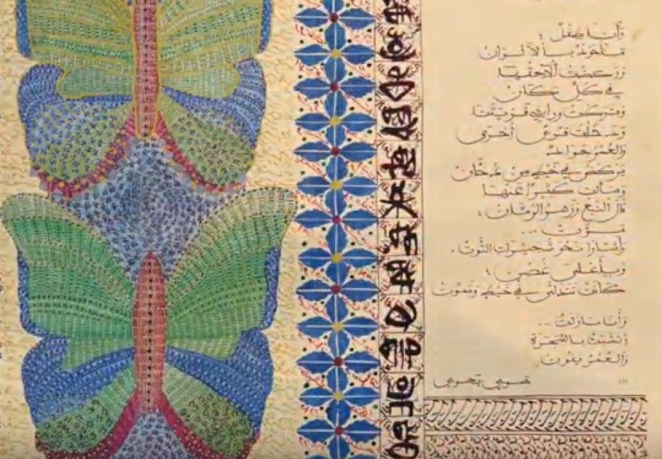 Mariposa. Hamri Bahri (Argelia)